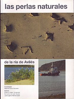 Portada de la publicacin