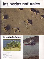 Portada de la publicacin