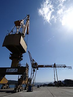 Cranes