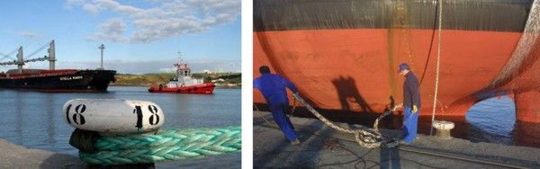 Mooring Fees