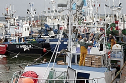 Muelle pesquero